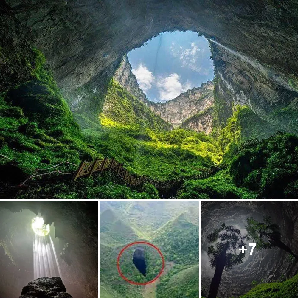 Chasing the Abyss: Exploring China’s Breathtaking Heavenly Well, the Deepest Sinkhole