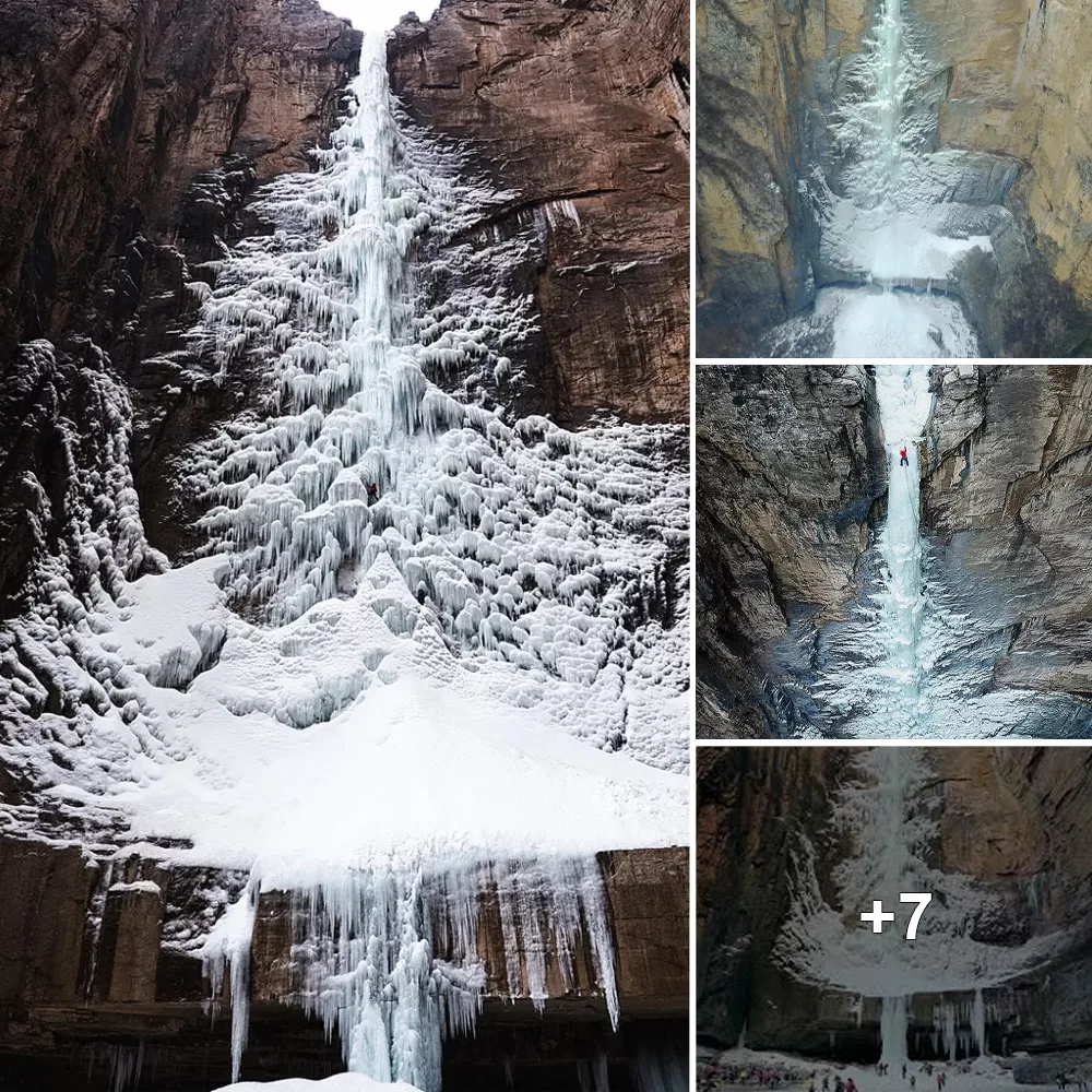Majestic Beauty: The Enchanting Frozen Tree of Taihang Mountains’ Cascading Icefall