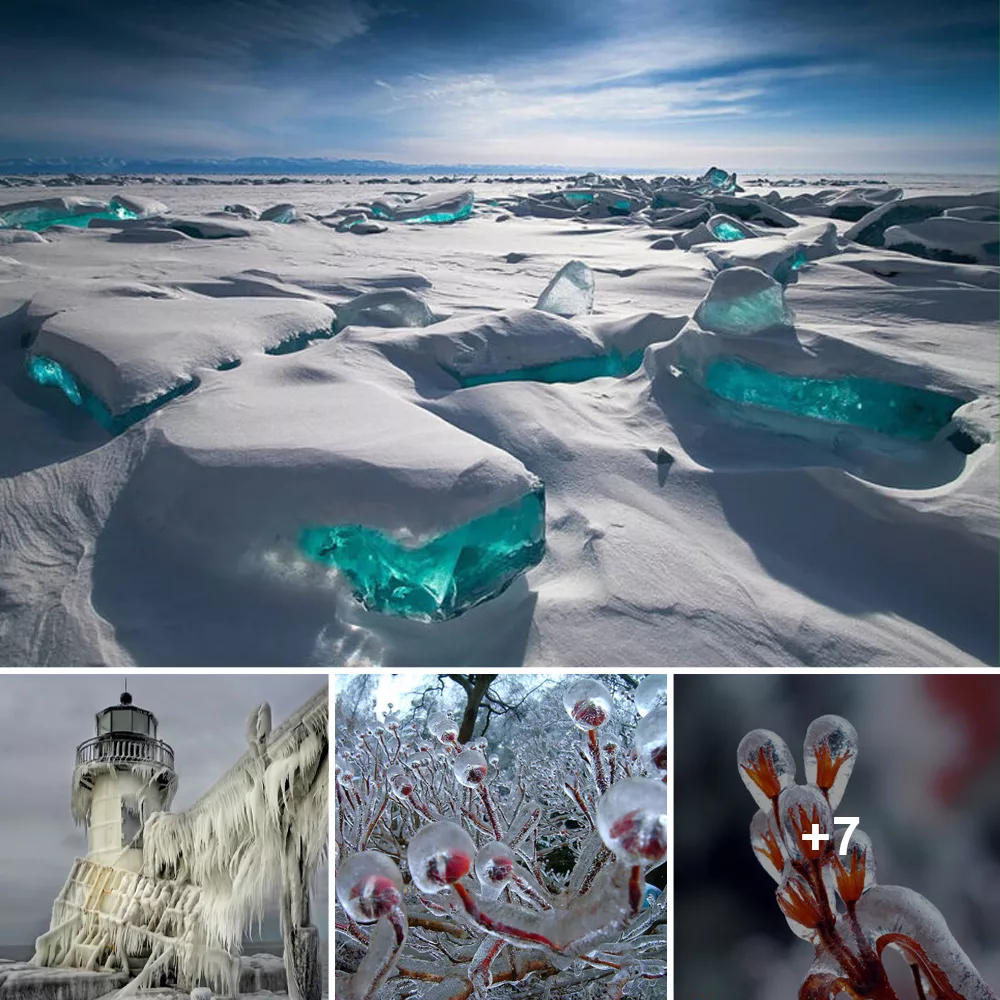 Natures’s Frozen Artistry: Awe-Inspiring Creations of Ice and Snow